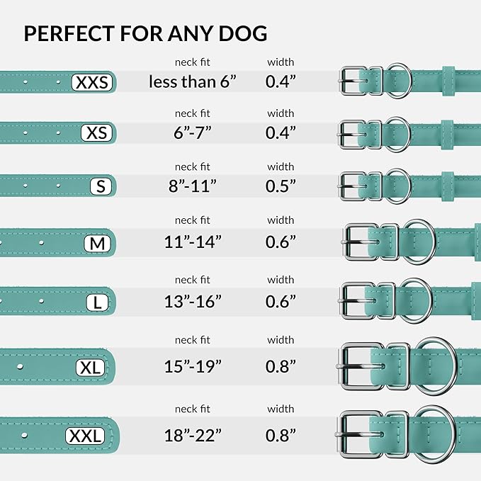 CollarDirect Rolled Leather Dog Collar, Soft Padded Round Puppy Collar, Handmade Genuine Leather Collar Dog Small Large Cat Collars 13 Colors (13-16 Inch, Mint Green Smooth)