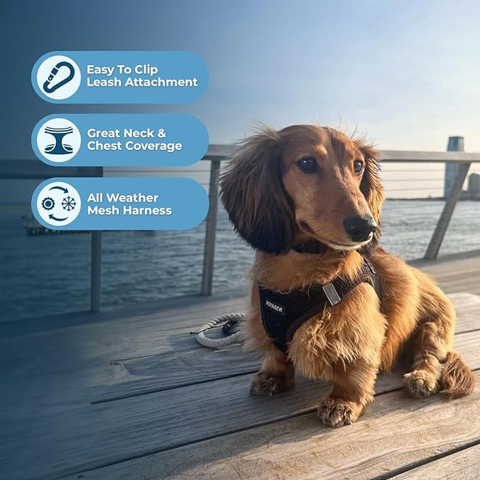 Voyager Step-in Air Dog Harness - All Weather Mesh, Reflective, No Pull Harness for Small, Medium Dogs, Cats - Secure with Hook & Loop Fastener, Buckle, Double D-Rings - Black, XXS