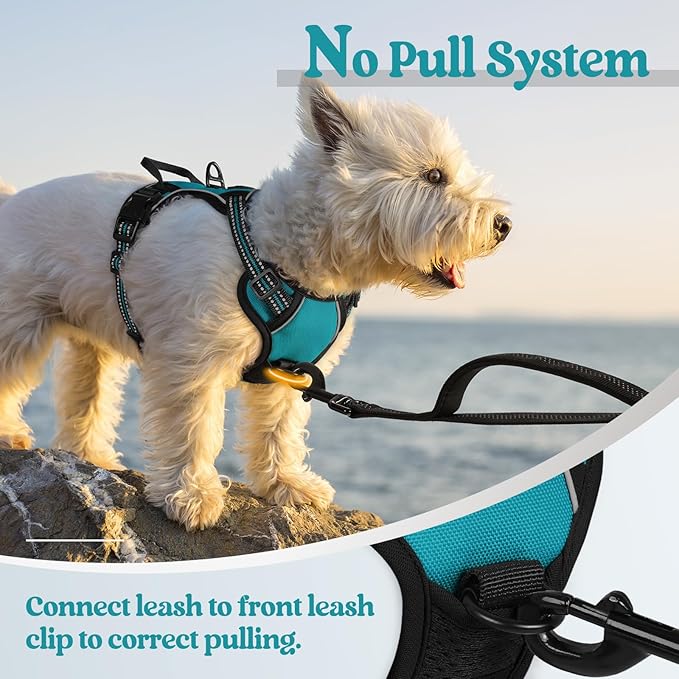 rabbitgoo Dog Harness, No-Pull Pet Harness with 2 Leash Clips, Adjustable Soft Padded Dog Vest, Reflective No-Choke Pet Oxford Vest with Easy Control Handle for Large Dogs, Teal, X-Small