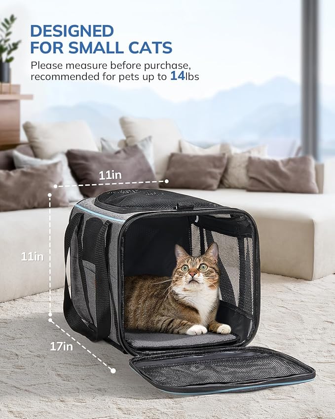 Morpilot Cat and Dog Carrier with Detachable Wheels - Airline Approved Rolling Carrier for Small Pets and Cats - Foldable Pet Travel Bag