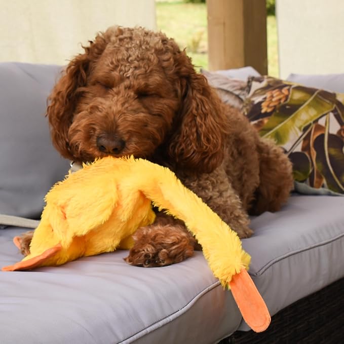 FGA MARKETPLACE Duck Flat NO Stuffing NO Squeak Plush Dog Toy, Funny Style Will Entertain Your Dog for Hours, Recommended for Small and Medium Dog 21 INCH Long