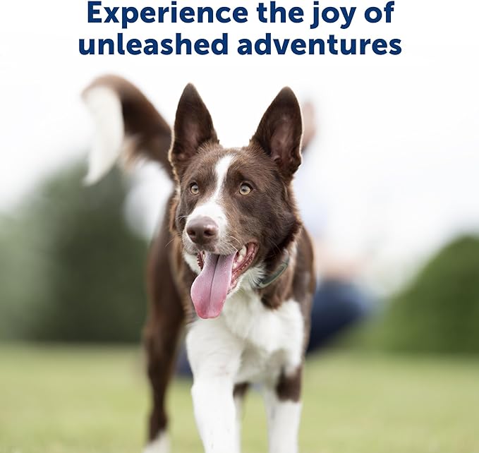 PetSafe Remote Trainer Dog Training Collar - 3 Training Modes: Tone, Vibration, 15 Levels of Static Stimulation, Standard for Dogs Over 8lb+ - Waterproof, Durable, Rechargeable - 100 Yards (300 Feet)