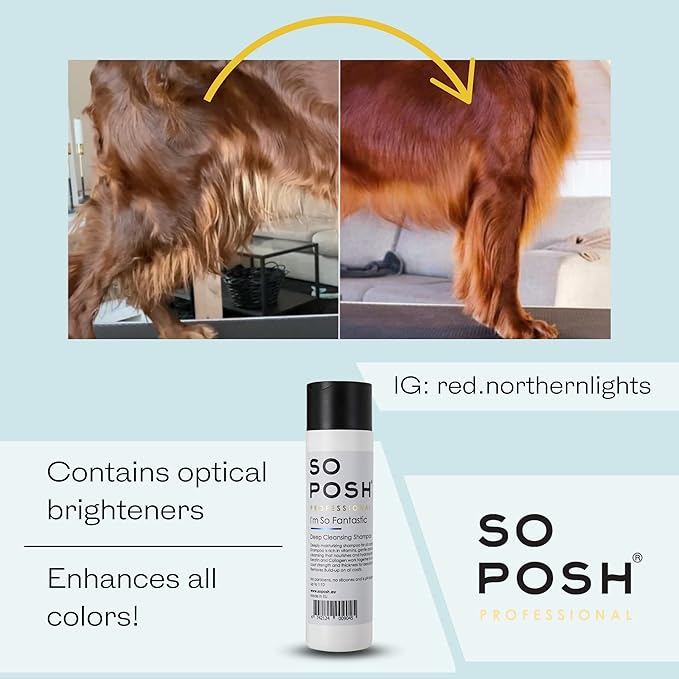 So Posh I’m So Fantastic Dog Shampoo - Deep Cleansing Shampoo, with Collagen & Keratin & Optical Brighteners, Suitable for All Breeds, Sulfate & Paraben Free, 1:10 Concentrate. 8.4 Oz