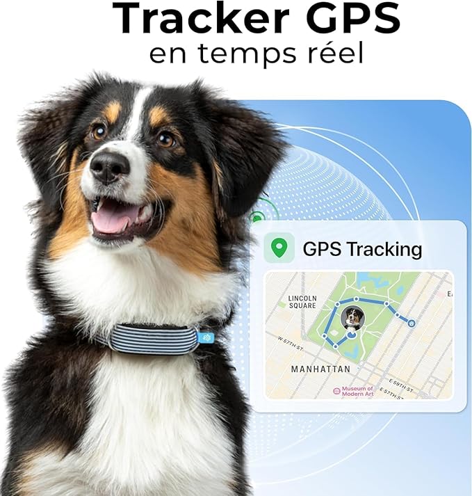 Minitailz - Health & GPS Tracker for Dogs #1 - Cardiac and Respiratory Scan - Real-time Location - Activity and Well-Being Analysis - Compact, Lightweight, and Easy to Install