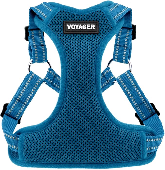 Best Pet Supplies Voyager Adjustable Dog Harness with Reflective Stripes for Walking, Jogging, Heavy-Duty Full Body No Pull Vest with Leash D-Ring, Breathable All-Weather - Harness (Turquoise), XS