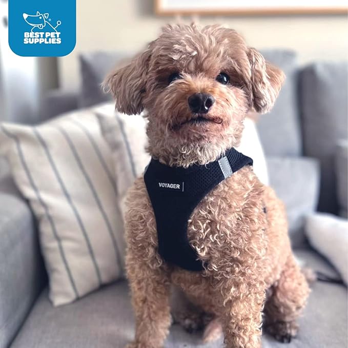 Voyager Step-in Air Dog Harness - All Weather Mesh, Reflective, No Pull Harness for Small, Medium Dogs, Cats - Secure with Hook & Loop Fastener, Buckle, Double D-Rings - Black, XL