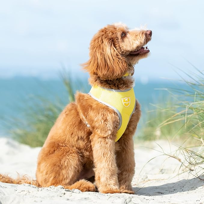 HUGO & HUDSON Dog Harness No-Pull Pet Harness Adjustable Quick Dry Mesh Padded Vest, Yellow, M