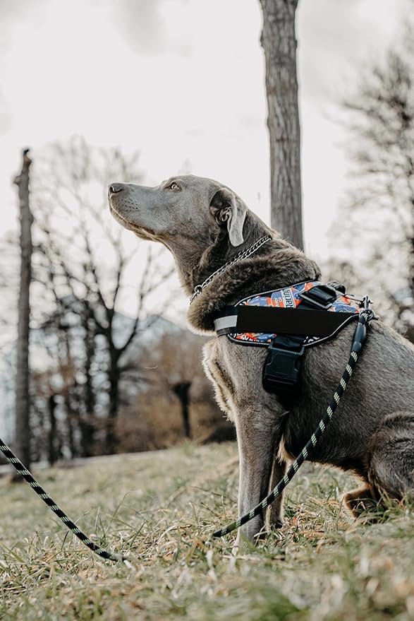 Non Pull Dog Harness with Patch Panels and Handle, Adjustable, Reflective, No Choke, Heavy Duty Easy On Service Dog Vest Harnesses for Medium Large Small Sized Dogs - Motorsport, L