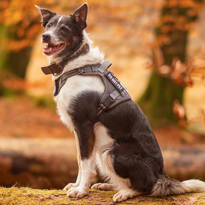 rabbitgoo Dog Harness Small Sized No Pull, Tactical Service Dog Vest with Molle and Control Handle, Adjustable and Reflective Military Pet Harness for Easy Walking and Training, Brown camo, S