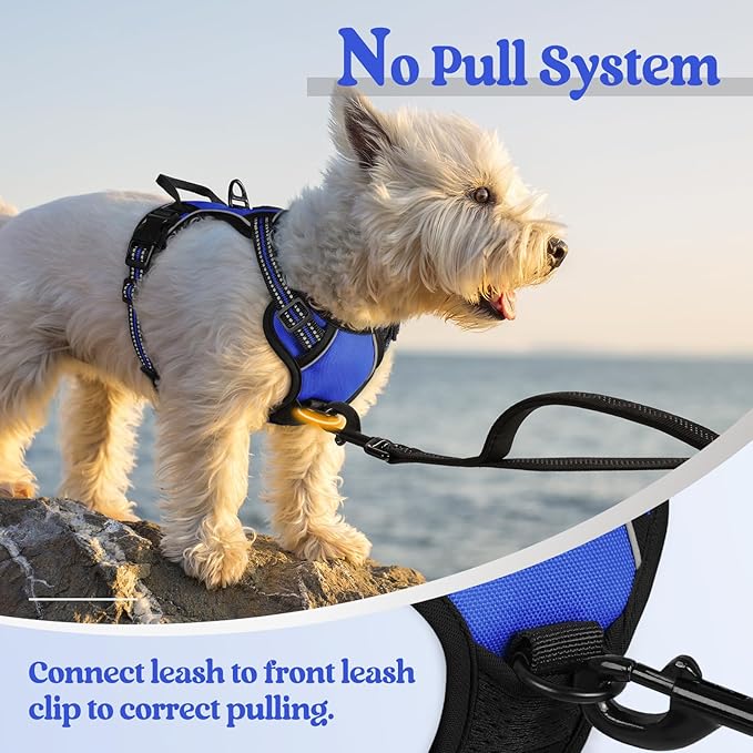 rabbitgoo Dog Harness, No-Pull Pet Harness with 2 Leash Clips, Adjustable Soft Padded Dog Vest, Reflective No-Choke Pet Oxford Vest with Easy Control Handle for Small Dogs, Dazzling Blue,XS