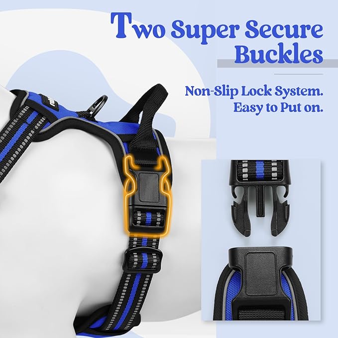 rabbitgoo Dog Harness, No-Pull Pet Harness with 2 Leash Clips, Adjustable Soft Padded Dog Vest, Reflective No-Choke Pet Oxford Vest with Easy Control Handle for Small Dogs, Dazzling Blue, S