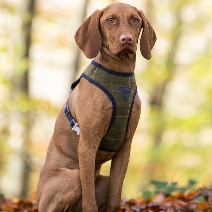 HUGO & HUDSON Dog Harness, No-Pull Anti Choke Tweed Harness Vest, Dark Green Checkered, XS