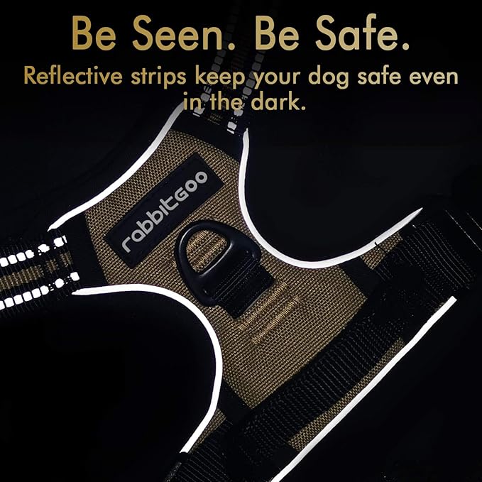 rabbitgoo Dog Harness, No-Pull Pet Harness with 2 Leash Clips, Adjustable Soft Padded Dog Vest, Reflective No-Choke Pet Oxford Vest with Easy Control Handle for Small Dogs, Beige, S