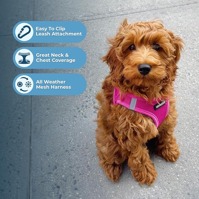 Voyager Step-in Air Dog Harness - All Weather Mesh, Reflective, No Pull Harness for Small, Medium Dogs, Cats - Secure with Hook & Loop Fastener, Buckle, Double D-Rings - Fuchsia, XS