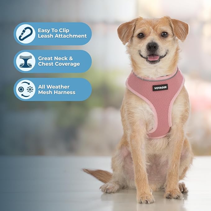 Voyager Aerolite No Pull Mesh Dog Harness with Lightweight, Soft, Breathable, Reflective Stitching, and Adjustable Straps for Walking, Running, Training, Heavy Duty and Durable - Pink, S