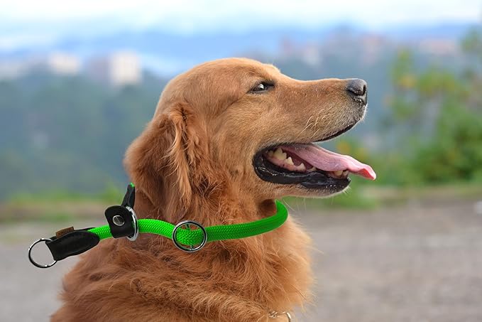 Braided Rope Collar, Training Dog Collar, Round Martingale Collar, Slip Collar with Adjustable Stopper and Slidable Stop Ring - Ideal for Large Dogs (L(1/2") - 20" Long, Light Green)
