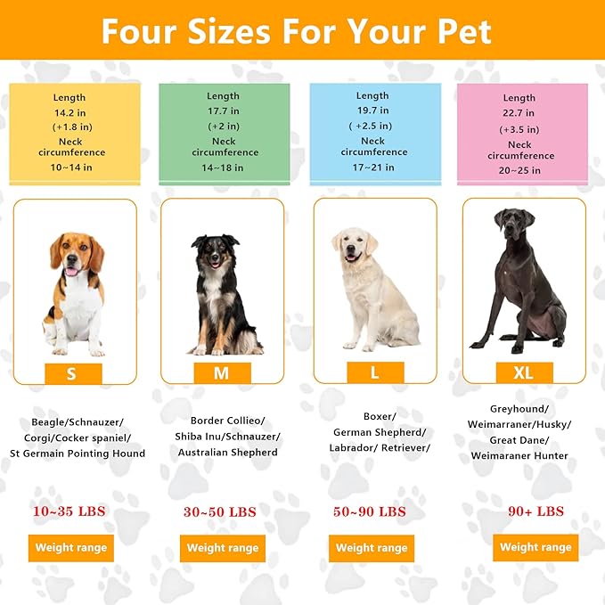 Dog No Pull Collar, Martingale Collar for Large Medium Small Dogs (XL (Neck:20''-23'' Weight Around:90 lbs))
