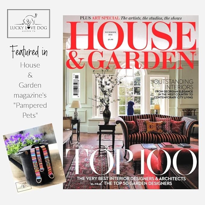 Lucky Love Dog Tropical Fish Pattern Martingale Collar and Leash Set, Summer Themed No Slip Collars for Large Dogs, Great for Whippets, Greyhounds, and More (Mackey, Large - Combo)