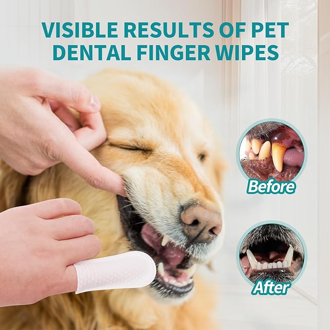 PITHER Dog Teeth Cleaning Wipes, 50 Counts Pet Teeth Dental Wipes for Dogs & Cats Gentle Non-Irritating Soft Tooth Brushing Kit Removing Plaque & Tartar Buildup Freshen Bad Breath