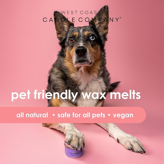 Pet Friendly Wax Melts | Pet Safe Wax Melts | All Natural Dog Safe Wax Melts | Non-Toxic Wax Melts | Pet Odor Eliminator | Pure Soy Wax Melts | Veterinarian Approved (Sandy Paws)