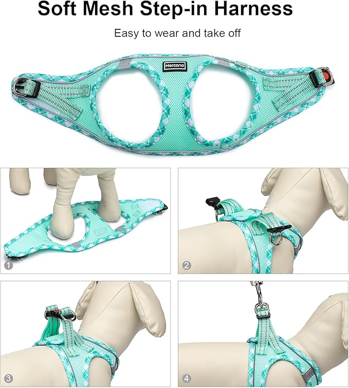 Mercano Soft Mesh Dog Harness and Leash Set, No-Chock Step-in Reflective Breathable Lightweight Easy Walk Escape Proof Vest Harnesses with Safety Buckle for Small Medium Dogs, Cats (Light Green, S)