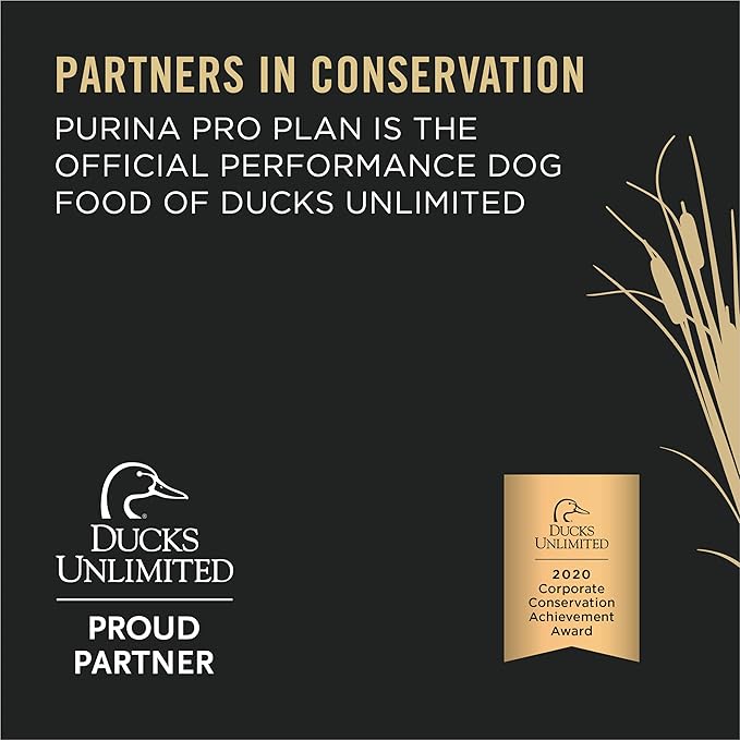 Purina Pro Plan Sport Performance 30/20 Salmon & Cod Formula Dry Dog Food - 33 lb. Bag