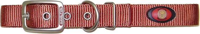 Hamilton Double Thick Nylon Deluxe Dog Collar with Brushed Hardware Finish, 1-Inch by 20-Inch, Red Brick