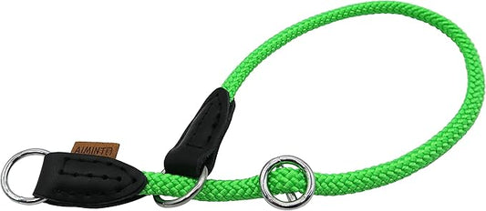 Braided Rope Collar, Pro Training Dog Collar, No Pull Round Martingale Collar, Slip Collar with Slidable Stop Ring - Ideal for Extra Small Dogs (XS (1/4") - 14" Long, Light Green)