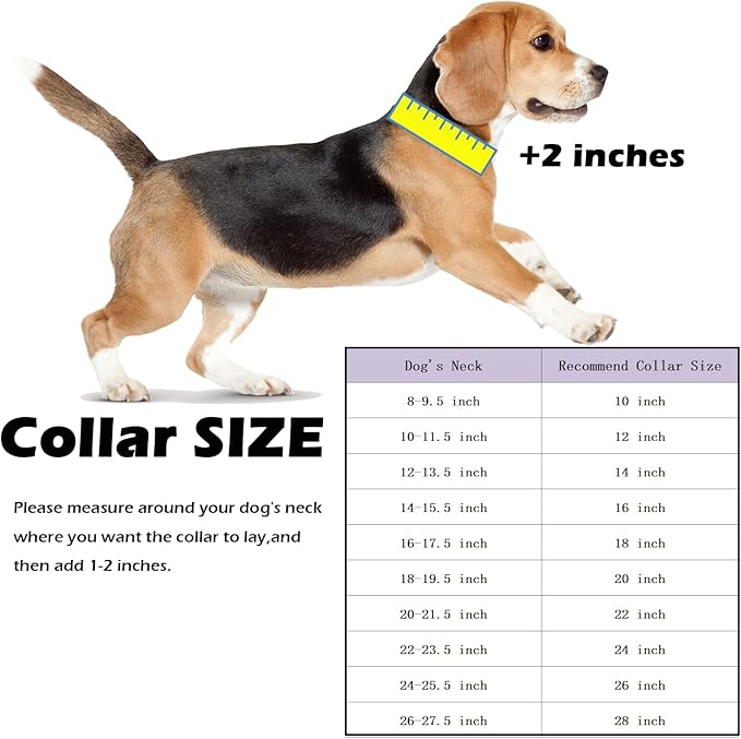 Gold Chain Dog Collar,13MM Strong Stainless Steel Cuban Link Chain Necklace Collar for Small Dogs(10'' Length)