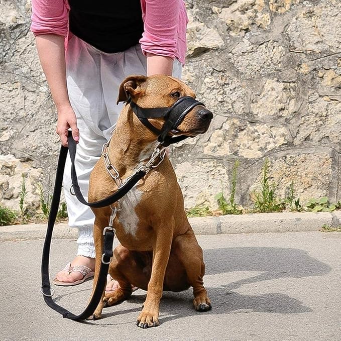 Lepark Nylon Dog Muzzle for Small,Medium,Large Dogs Prevent from Biting,Barking and Chewing,Adjustable Loop(XL/Green)