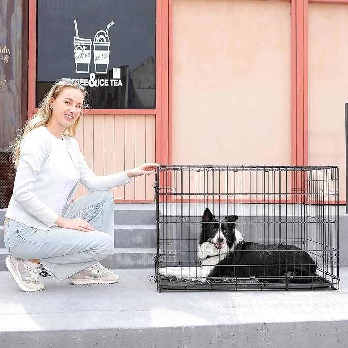 Fold & Carry 1-Door Folding Dog Crate (Med/L: 36-in L x 23-in W x 25-in H)