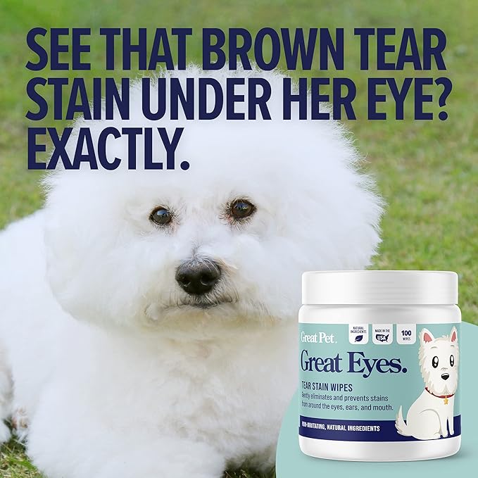 Great Eyes - Safe & Gentle Tear Stain Remover for Dogs - Natural Eye Wipes for Dogs - Made in The USA & Easy to Use Pre-Soaked Wipes - 100 Wipes
