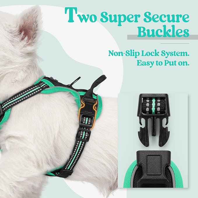rabbitgoo Dog Harness, No-Pull Pet Harness with 2 Leash Clips, Adjustable Soft Padded Dog Vest, Reflective No-Choke Pet Oxford Vest with Easy Control Handle for Large Dogs, Black & Turquoise, X-Small