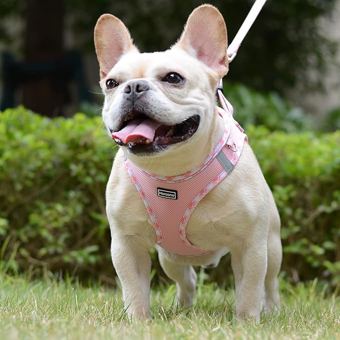 Mercano Soft Mesh Dog Harness and Leash Set, No-Chock Step-in Reflective Breathable Lightweight Easy Walk Escape Proof Vest Harnesses with Safety Buckle for Small Medium Dogs, Cats (Pink, XL)