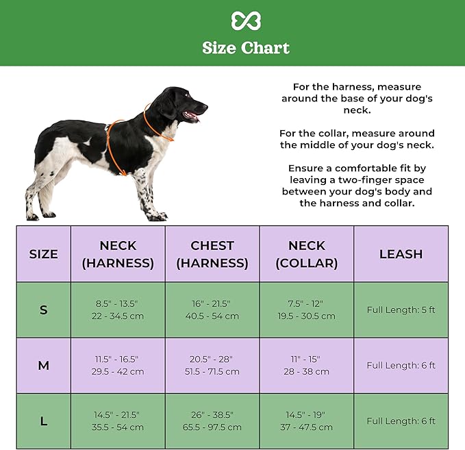 Dog Harness and Leash Set | BearBone No Pull Dog Harness and Waterproof Dog Collar and Leash Set | Heavy Duty Dog Harness, Leash and Collar | Medium Dog Harness, Leash and Collar (Green, Medium)