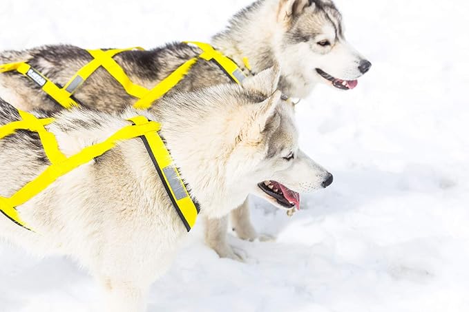 Neewa Pro Sled Dog Harness (Yellow, XXX- Large (Neck 22 Chest 38 Back 26))