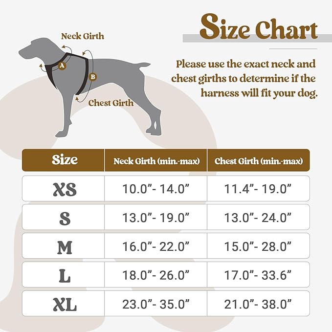 rabbitgoo Dog Harness, No-Pull Pet Harness with 2 Leash Clips, Adjustable Soft Padded Dog Vest, Reflective No-Choke Pet Oxford Vest with Easy Control Handle for Small Dogs, Black, S