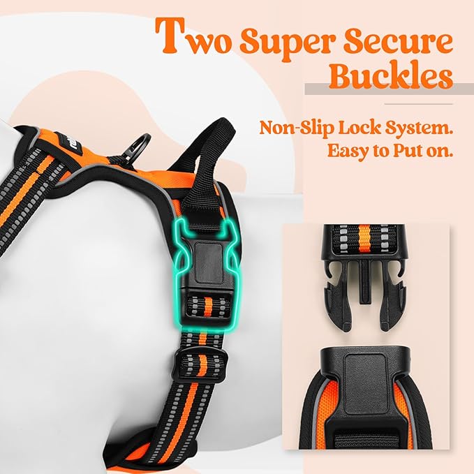 rabbitgoo Dog Harness, No-Pull Pet Harness with 2 Leash Clips, Adjustable Soft Padded Dog Vest, Reflective No-Choke Pet Oxford Vest with Easy Control Handle for Small Dogs,Orange,S