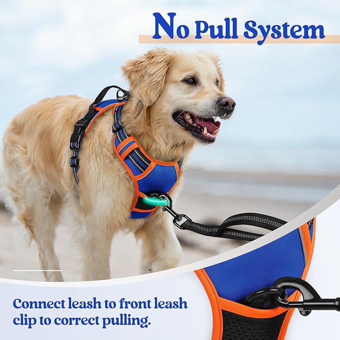 rabbitgoo Dog Harness, No-Pull Pet Harness with 2 Leash Clips, Adjustable Soft Padded Dog Vest, Reflective No-Choke Pet Oxford Vest with Easy Control Handle for Large Dogs, Blue & Orange, L