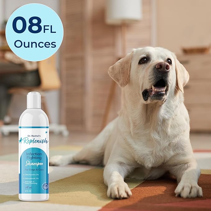 Replenish Anti Itch Dog Shampoo with Ketoconazole and Chlorhexidine for Dog Skin Irritation Treatment & Itchy Skin Relief - Dr. Rachelβs Veterinary Formula Dog Shampoo with Cucumber Melon Scent - 8 oz