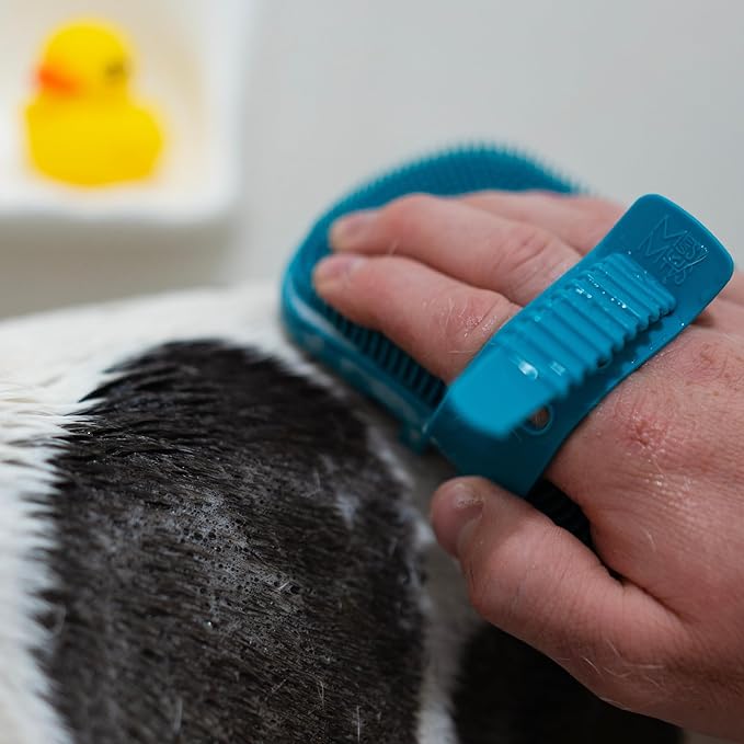 Messy Mutts Reversible Silicone Dual Sided Pet Grooming Brush | Gentle Massage, Brushing, Bathing and Dog Hair Removal Tool | One Size Fits All | Blue