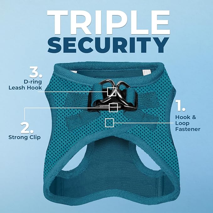 Voyager Step-In Air Dog Harness - All Weather Mesh, Reflective, No Pull Harness for Small, Medium Dogs, Cats - Secure with Hook & Loop Fastener, Buckle, Double D-Rings - Turquoise, XXS