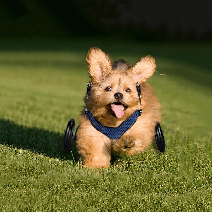 Dog Wheelchair for Back Legs Adjustable Dog Wheelchairs with 2 Wheels Pet Doggy Wheelchairs with Disabled Hind Legs Walking-Dog Leg Brace and Hip Support, Light Weight