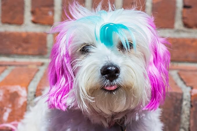 Canine Color Semi Perm Coat Color Shampoo for Dogs by Warren London | A Longer Lasting Option to Dog Hair Dye Temporary Coloring | Wash-in Pet Safe Dye for Dogs, Horses, Rabbits! Fire Red