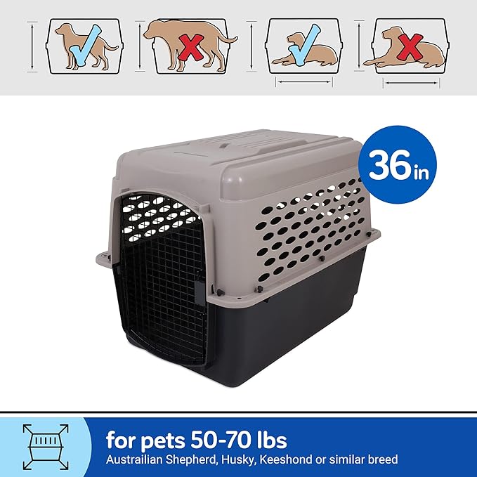 Petmate Vari Dog Kennel 36" and Petmate Double Diner Kennel Bowl, Gray, Small
