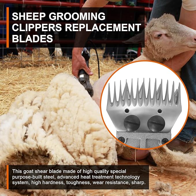 Sheep Grooming Clippers Replacement Blades Compatible with Oster/Lister/Heiniger/GDJOB/BEETRO/Dragro/TAKEKIT Sheep Clippers for Thick Coat Animals,Made of Stainless Steel (13 Tooth(2 PCS))