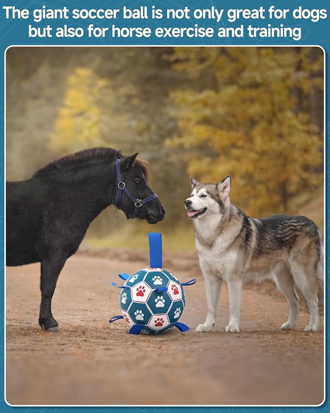 QDAN Dog Toys Soccer Ball with Straps - Durable Dog Balls for Giant Extra Large Dogs, Outdoor Dog Toys, Dog Water Toy, Herding Ball, Dog Birthday Gifts (10 Inch)