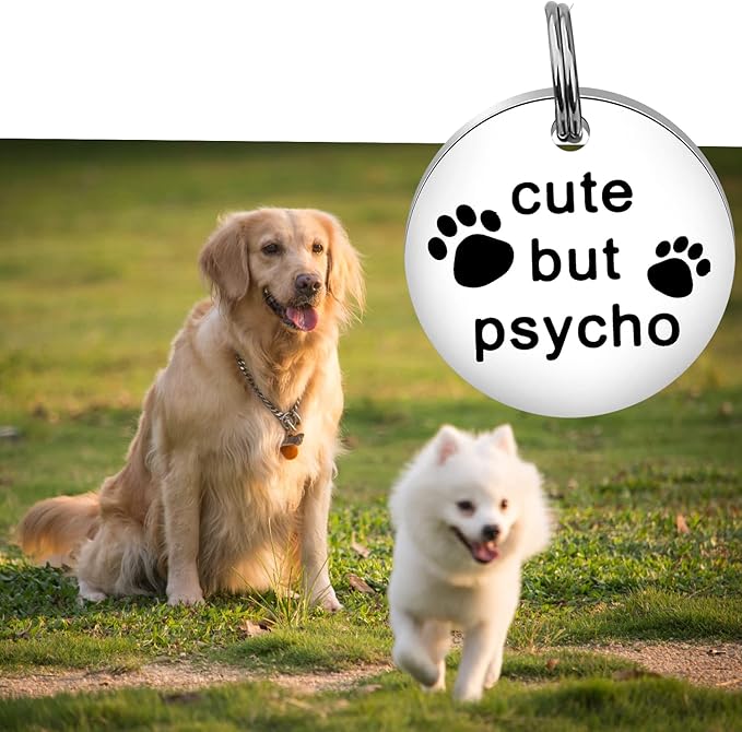 Gzrlyf Cute But Psycho Cat Tag Pet Collar Tags for Cats Funny Cat Tags for Collar Engraved Dog Tag Pet Gifts for Dogs Cats