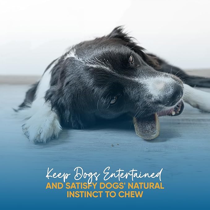 Filled Cow Hooves for Dogs, Delicious Cheese & Bacon Flavor, Stuffed Natural Beef Hoof Dog Chews, Tasty Treats for Dog, Made from Premium Brazilian Cattle, Pack of 3 Count