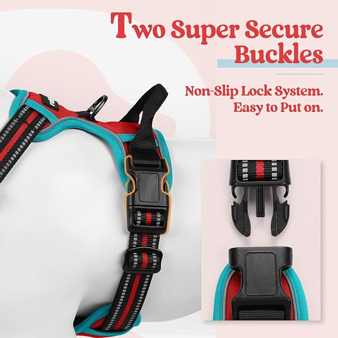 rabbitgoo Dog Harness, No-Pull Pet Harness with 2 Leash Clips, Adjustable Soft Padded Dog Vest, Reflective No-Choke Pet Oxford Vest with Easy Control Handle for Large Dogs, Red & Teal, M
